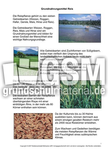 Grundnahrungsmittel-Reis-1-3.pdf